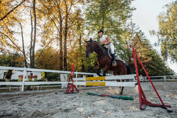 ハードルを飛び越える馬に若い女性のジョッキー 美しい秋の時間で競争のために準備 — ストック写真