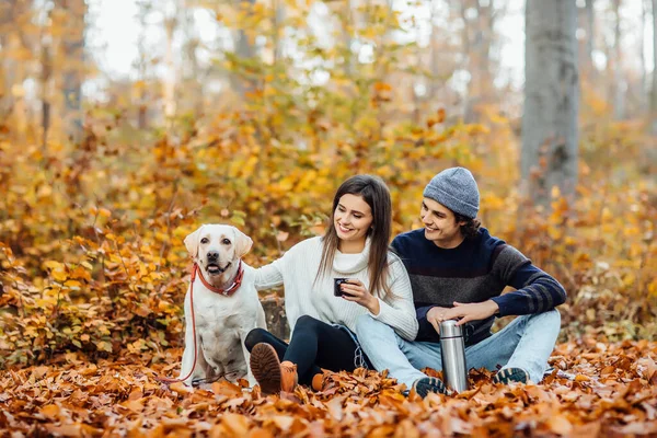 Junges Paar Beim Picknick Mit Hund Park Auf Decke Liegend — Stockfoto