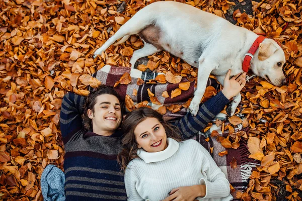 Bovenaanzicht Van Verliefd Echtpaar Liggend Deken Hond Vasthoudend Picknick Bij — Stockfoto