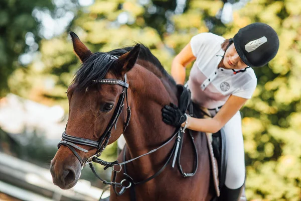 幸せな女の子のティーンエイジャーは彼女の馬と抱き合う 森の秋の時間 — ストック写真