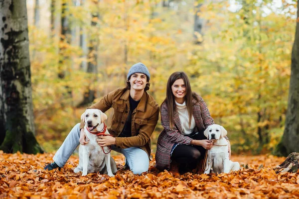 Ein Junges Paar Und Seine Beiden Goldenen Labradore Spazieren Herbstpark — Stockfoto