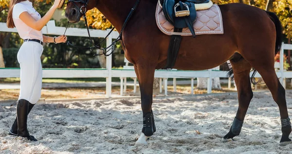 Foto Cerca Caballo Doma Patas Jinete Uniforme Blanco Listo Para — Foto de Stock