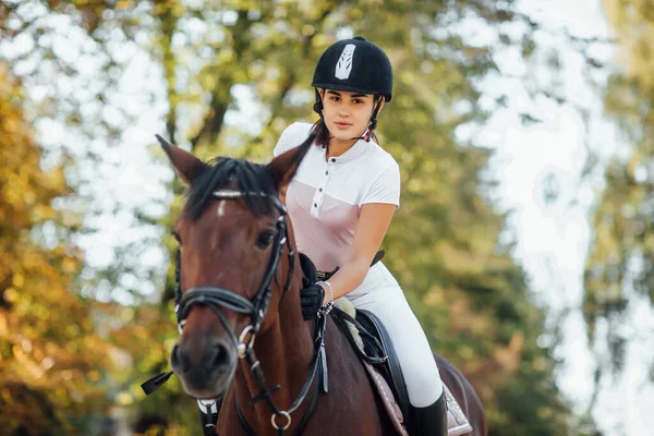 秋の森の中で茶色の馬に乗って若いジョッキー少女の肖像画 — ストック写真