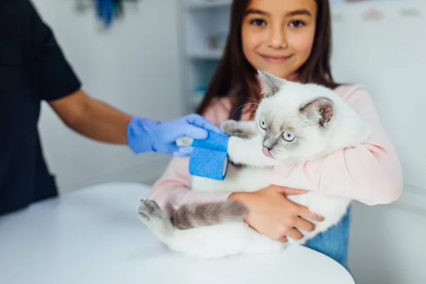 Κτηνίατρος Έχουν Μια Ιατρική Εξέταση Μια Γάτα Πονεμένο Πόδι Όμορφο — Φωτογραφία Αρχείου