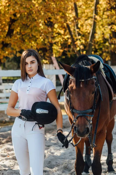 Conceito Esporte Equestre Jóquei Feminino Cavalo Floresta Outono Pronto Para — Fotografia de Stock