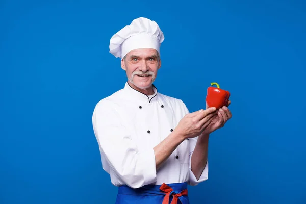 笑顔のシニアシェフの肖像青の背景に隔離された赤唐辛子を保持料理 — ストック写真