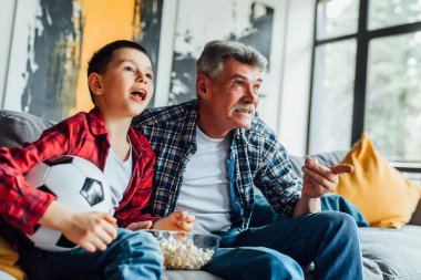 Küçük çocuk dedemle kanepede, futbol maçı için tezahürat yapıyor ve elinde futbol topu tutuyor....