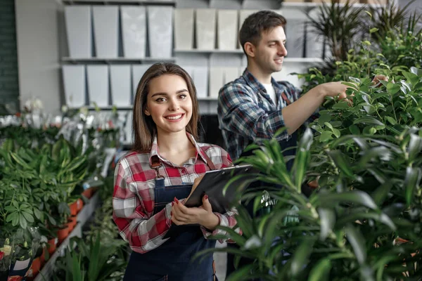 Photo of two workers in special clothes working in garden center or greenhouse, girl with folder checking exotic plants.