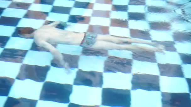 Fritidsaktiviteter Poolen Simning Och Dykning — Stockvideo