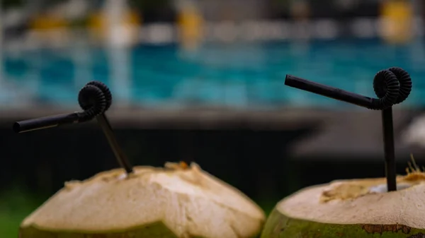 Wir Sitzen Mit Kokosnüssen Pool — Stockfoto