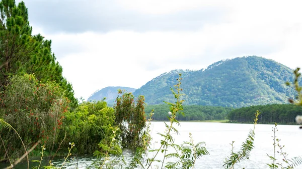 Lago Ciudad Dalat Entre Las Montañas —  Fotos de Stock