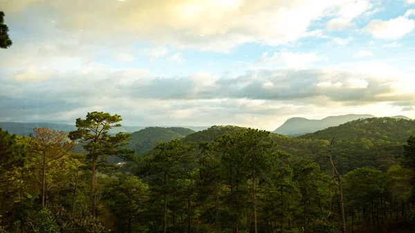 Vietnam Daki Dalat Şehrinin Ufuk Çizgisine Kadar Ormanlarla Kaplı Dağ — Stok fotoğraf