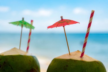 Tropikal sahilde iki yeşil hindistan cevizi. Balayı konsepti.