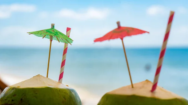 Zwei Grüne Frische Kokosnüsse Tropischen Strand — Stockfoto