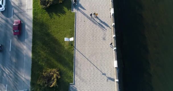 春の公園を歩く人々の4K空中トップダウンビュー — ストック動画