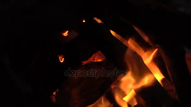 Palos de madera en el fuego — Vídeo de stock