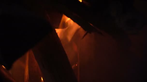 Drewniane patyki w ogniu — Wideo stockowe