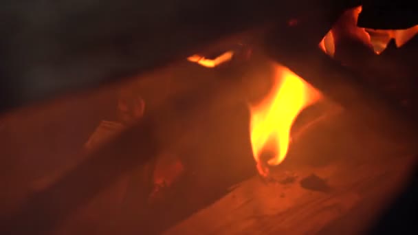 Bâtons de bois dans le feu — Video