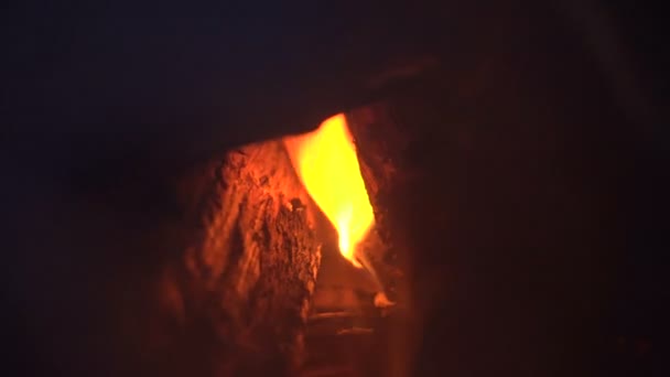 불에 나무 막대기 — 비디오