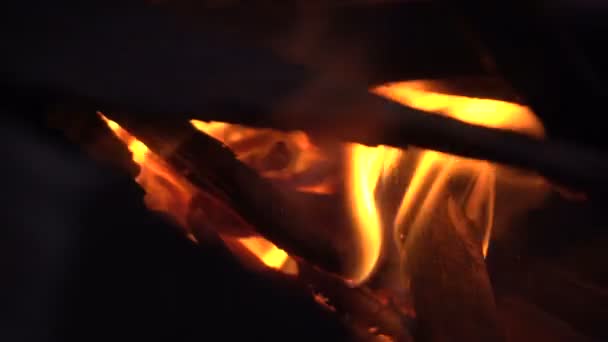 Bâtons de bois dans le feu 