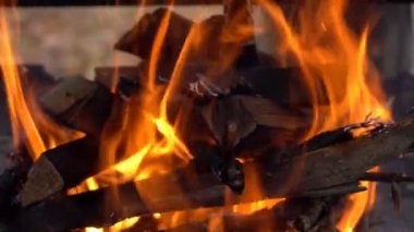 Güzel portakal alev yanık