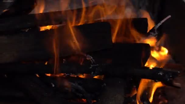 Leña de madera quema en el fuego — Vídeo de stock
