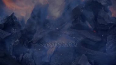 Güzel ateş ormanda yanmış