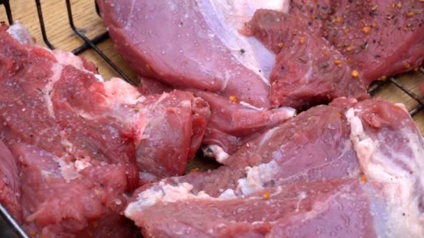 Pieces of meat sprinkled with spices are on board — Stock Video