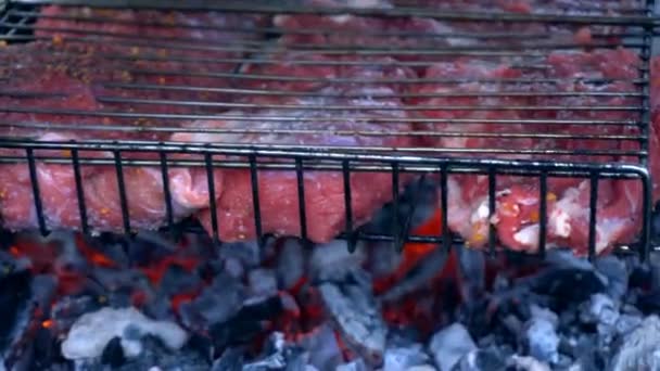 Meat with spices is cooked on fire — Stock Video