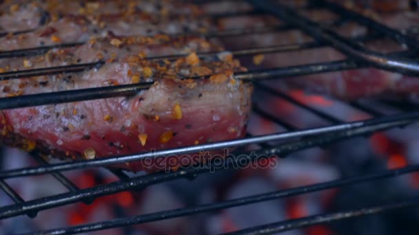 Carne grelhada com especiarias é cozida em carvão vegetal — Vídeo de Stock