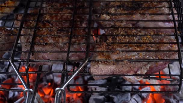 Pieces of meat in the grill roasting on coals — Stock Video