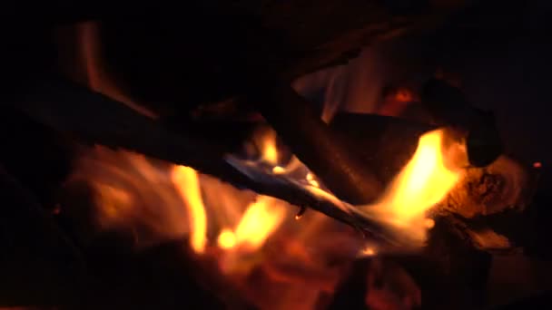 Brennholz brennt in der Nacht in Flammen — Stockvideo