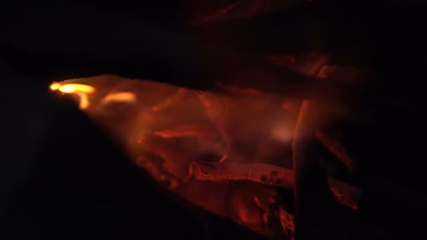 Branches de bois et bois de chauffage sont brûlés dans un feu — Video