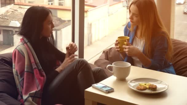 Two beautiful girls sit, drink tea and discuss — Stock Video