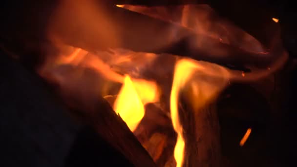 Blazing flame in darkness close-up — Stock Video