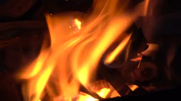 Brûler du bois de chauffage dans un feu chaud la nuit — Video