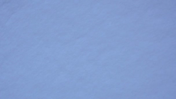 Menina nas luvas está ganhando neve — Vídeo de Stock