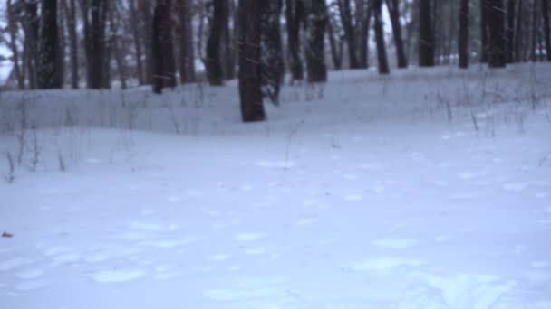 Mädchen guckt von der Seite und fällt in den Schnee — Stockvideo