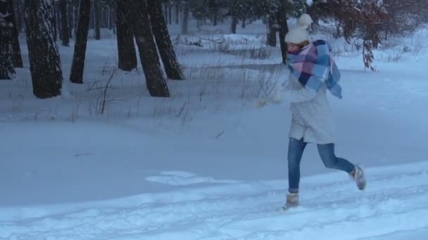 Jong meisje wordt uitgevoerd door de sneeuw in de bossen en de glimlach — Stockvideo