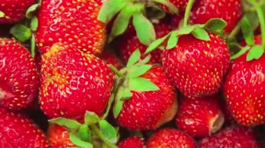 çilek çevrelerde iplik makro yakın çekim