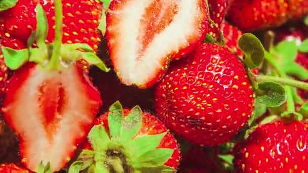 Macro of strawberries with two halfs in the center spinning in circles close up — Stock Video