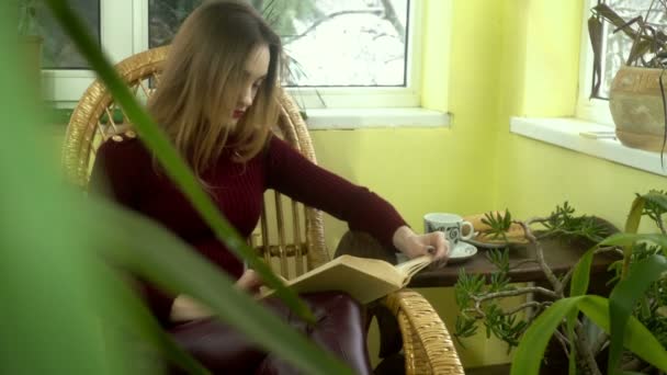 Jovem menina bonita lendo um livro em uma cadeira de vime perto da janela com um monte de plantas verdes ao redor — Vídeo de Stock