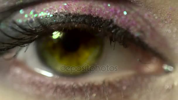 Macro de beauté oeil féminin avec beau maquillage. femme avec beau maquillage regardant la caméra de près en studio — Video