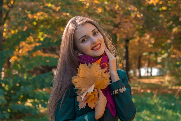 Carina ragazza con i capelli lunghi nel parco mantiene le foglie d'acero in mano e sorride — Foto Stock