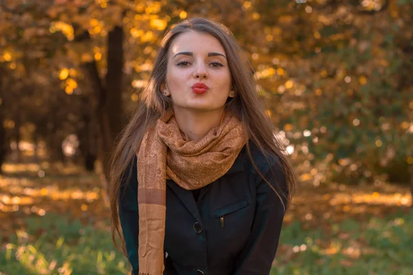 Hermosa chica se para en otoño Parque en una larga bufanda mirando directamente y enviar un beso —  Fotos de Stock