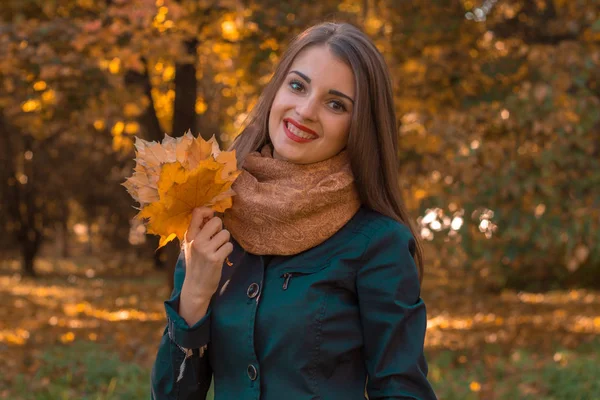 Jovem menina segura em sua mão folhas de pé no outono Parque — Fotografia de Stock