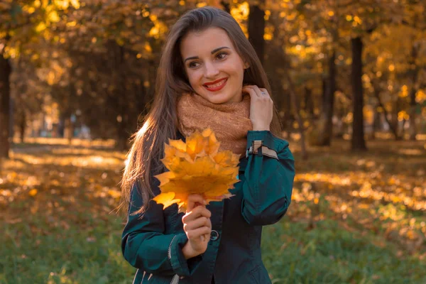 Молода дівчина стоїть в осінньому парку, тримаючи кленовий лист, який дивиться подалі — стокове фото