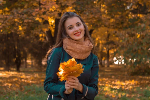 Schattig meisje in een warme sjaal houdt de bladeren ziet er recht en glimlachend — Stockfoto