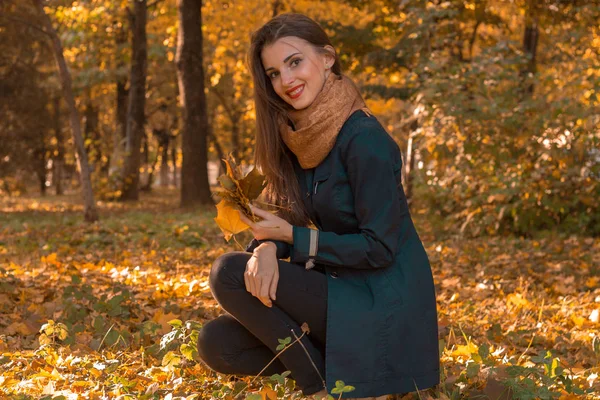 Linda chica en una capa oscura se sienta en otoño Parque mantiene hojas y sonrisas —  Fotos de Stock