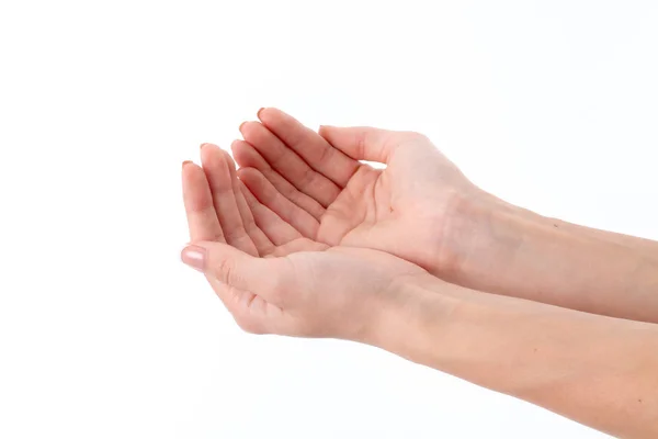 Two female hands with expanded up Palms — Stock Photo, Image